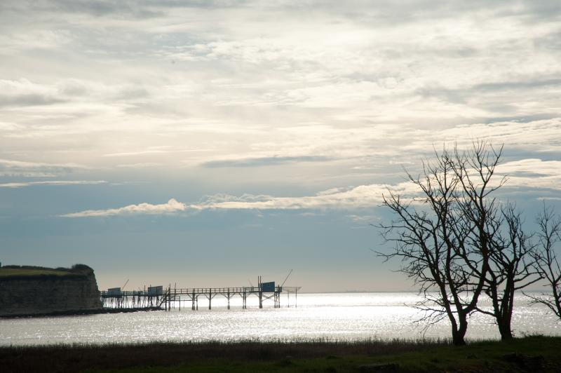 Vue de l'estuaire et de la falaise de Barzan depuis Talmont-sur-Gironde - Crédit photo: Jacqueline Poggi  - Flickr