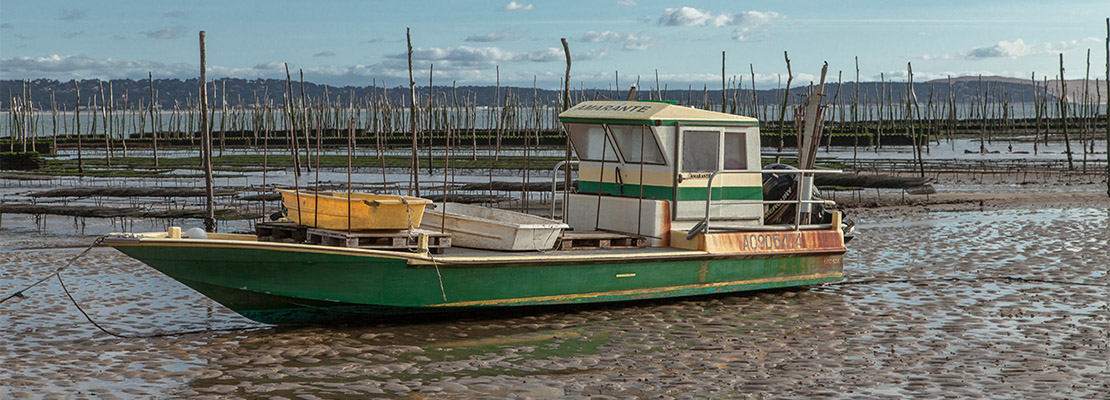 Pinasse sur le bassin d'Arcachon