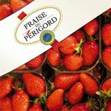 fraise-perigord