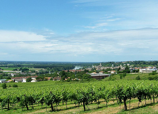 Aux environs de La Réole