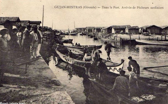 Pêche à la sardine au début du XXe siècle