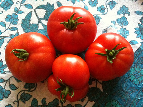 Les délicieuses tomates de Marmande