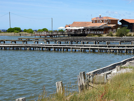 huitre-bassin