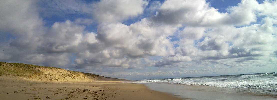 Littoral landais, non loin de Souston - Crédit photo: Joachim Quandt - Flickr
