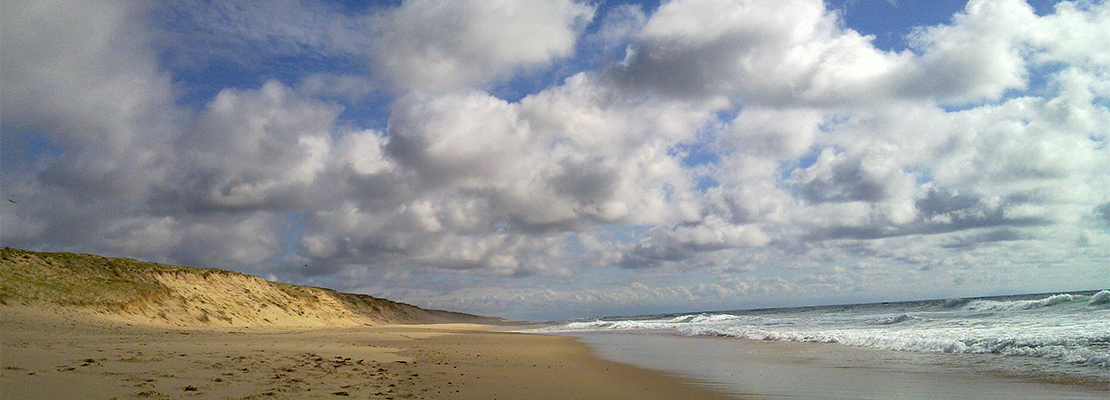 Littoral landais, non loin de Souston - Crédit photo: Joachim Quandt - Flickr 