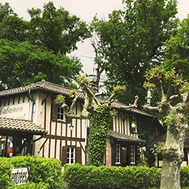 vignette-restaurants-adaptes-landes