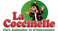 coccinelle