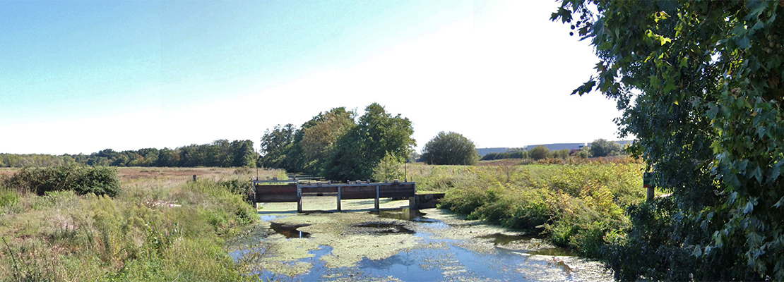 La pleine nature à quelques kilomètres de Bordeaux - Crédit photo: Nataloche - Own work, CC BY-SA 4.0,
