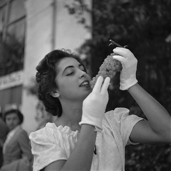 Fête du chasselas à Moissac en 1951 - Crédit photo:  Fonds André Cros,