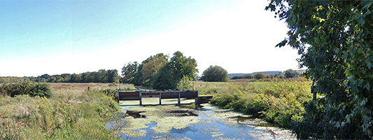 marais-de-bruges-533x200