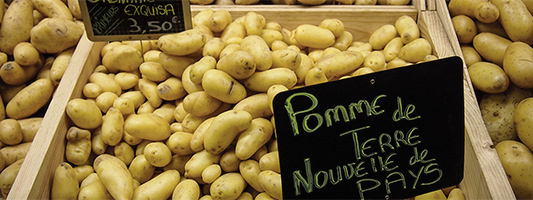 pommes-de-terre533X200