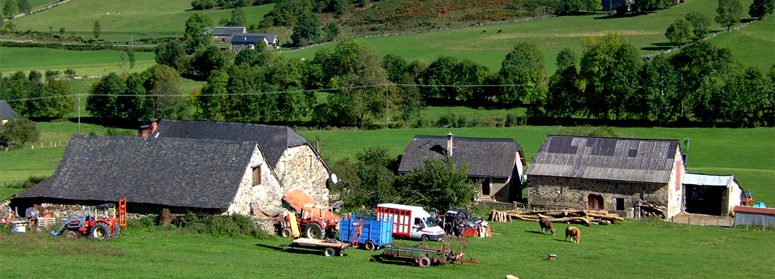 Ferme traditionnelle en vallée d'Aspe.