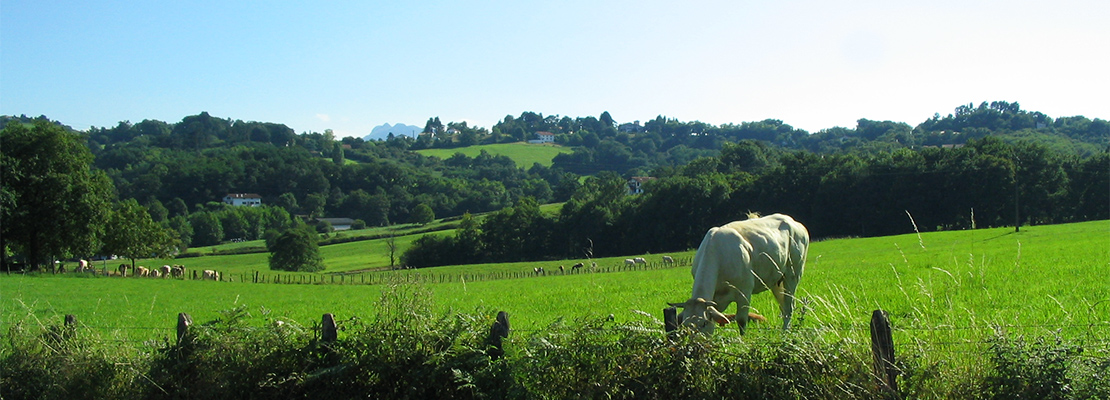 Paysage basque, non loin d'Urrugne - Crédit photo: FranceSudOuest