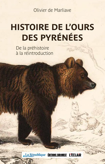 couverture hsitoire de l'ours des pyérénées