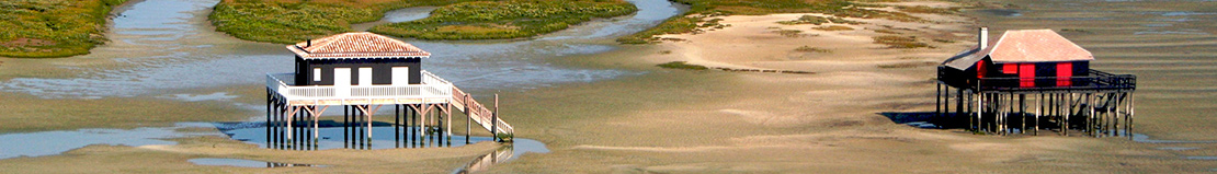 cabanes tchanquées du bassin d'Arcachon