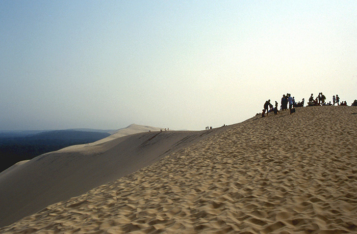 dune du pilat