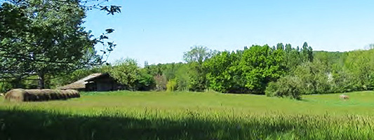 site du moulin de la ville future réserve naturelle