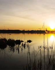 lac de bordeaux
