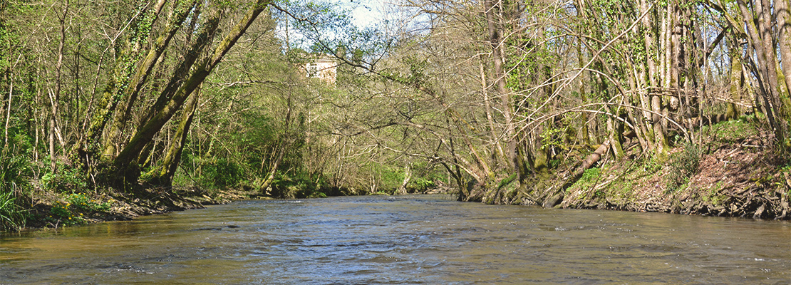 gorges du ciron en gironde