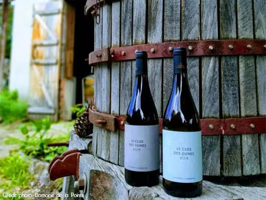 bouteilles de vin de sable des dunes