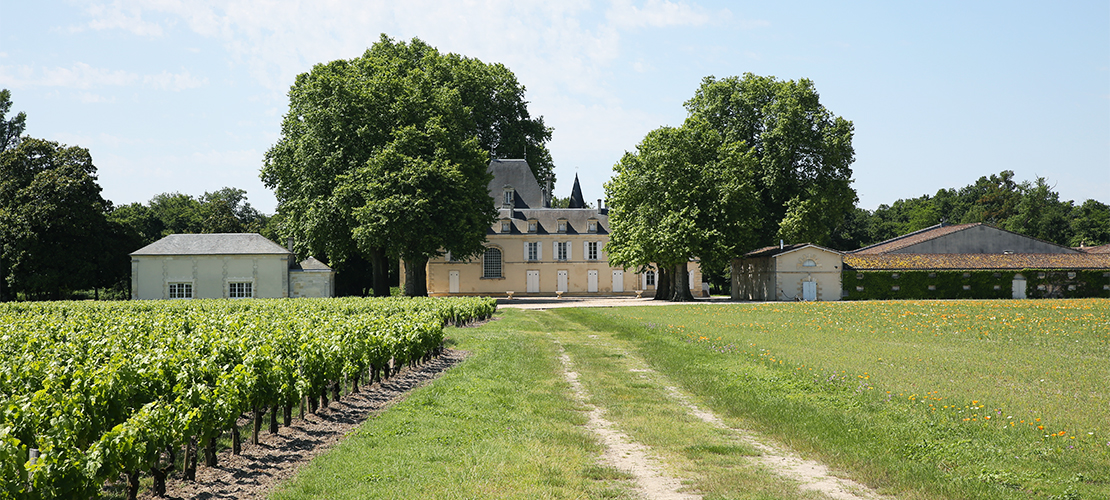 château Cante-Merle à Macau en Gironde