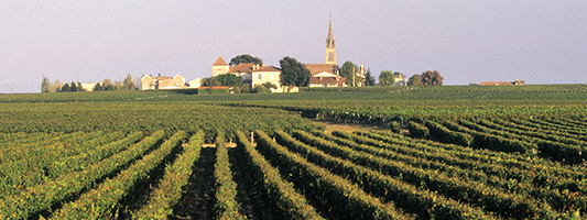 Parc naturel régional du médoc