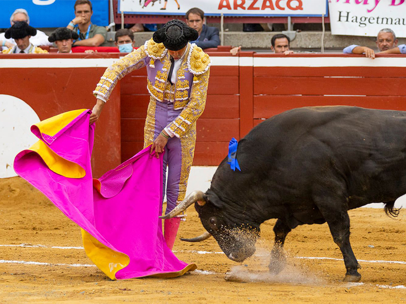 corrida aux arènes du plumaçon