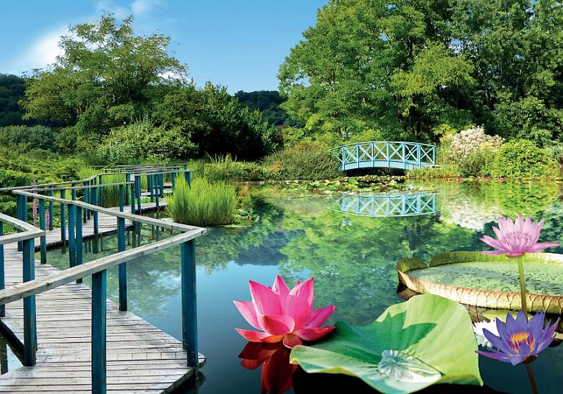 les jardins d'eau de carsac