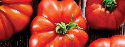 tomates de marmande