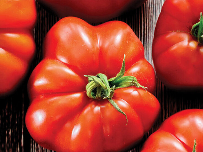 tomates de marmande