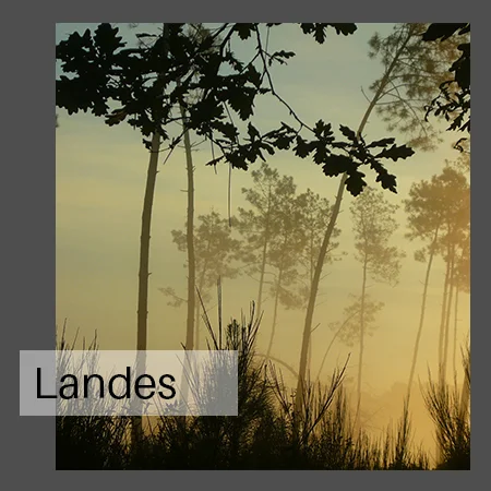 Destination Landes