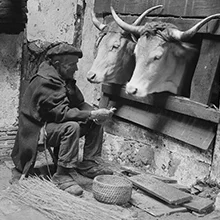 Patrimoine et culture des Landes
