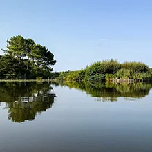 Sites et cités des Landes