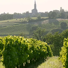 Nature et paysages en Gironde