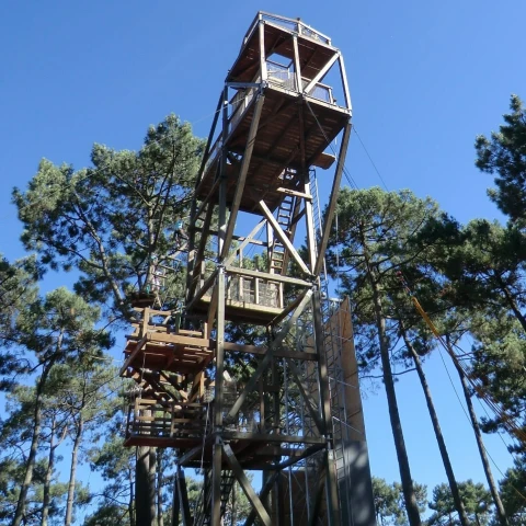 Accrobranche dans les Landes