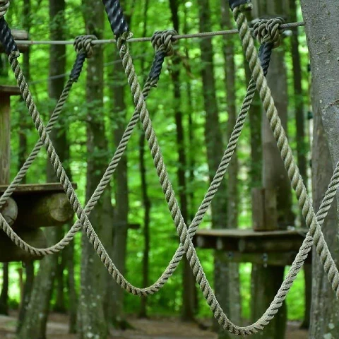 accrobranche en Nouvelle-Aquitaine