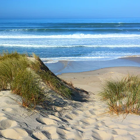 Les plages de la Gironde