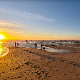 Les plages océanes de Gironde, des Landes et du Pays basque