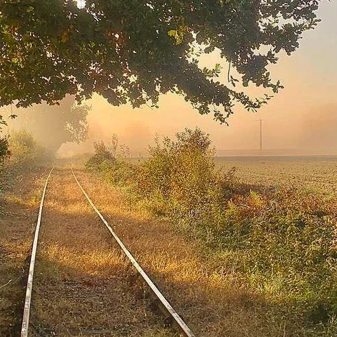 Vélorail dans les Landes