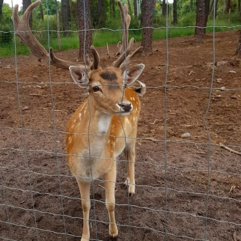 Parcs animaliers Gironde