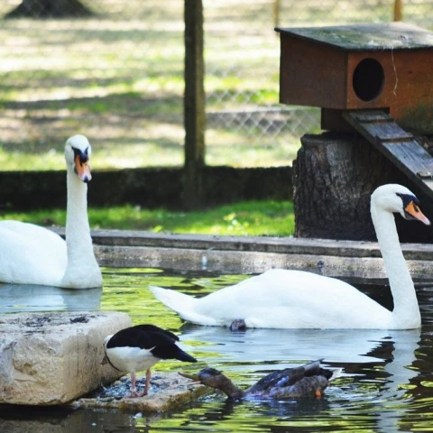 Parcs animaliers Landes