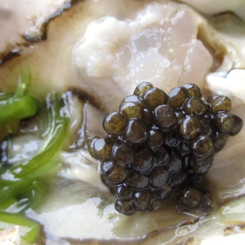 dégustation caviar gironde