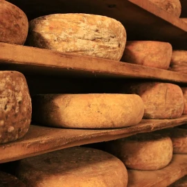 Dégustation fromages