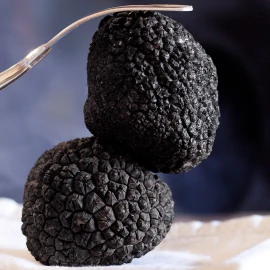 Dégustation truffes