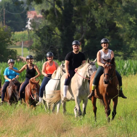 fermes équestres Landes