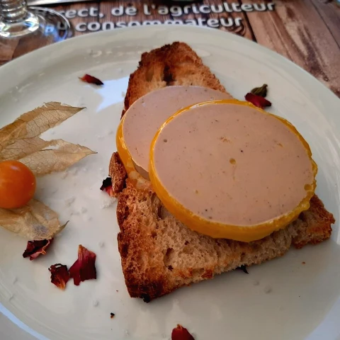 Dégustation foie gras Dordogne