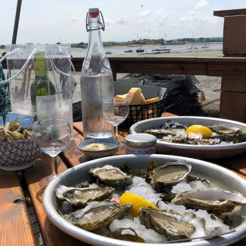 Dégustation d&#039;huîtres en Gironde