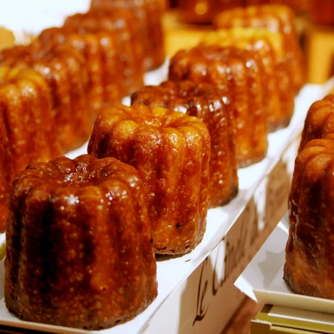 Dégustation pâtisserie gironde