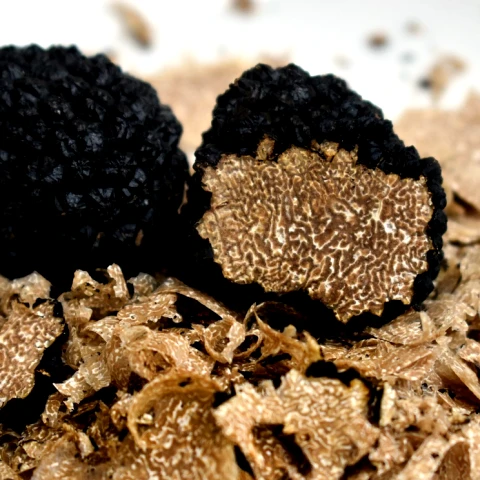 Truffes Dordogne