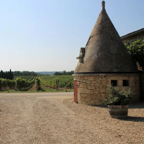 Dégustation de vin en Dordogne
